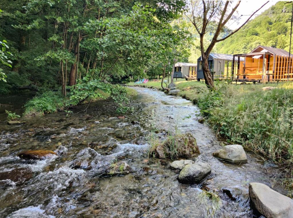 Transfagarasan River Retreat Arefu Exteriör bild